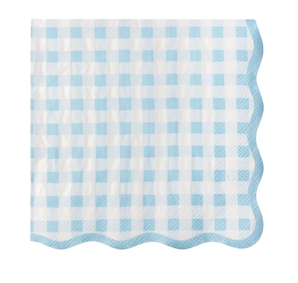 ELEGANT SKY BLUE GINGHAM DINNER NAPKINS