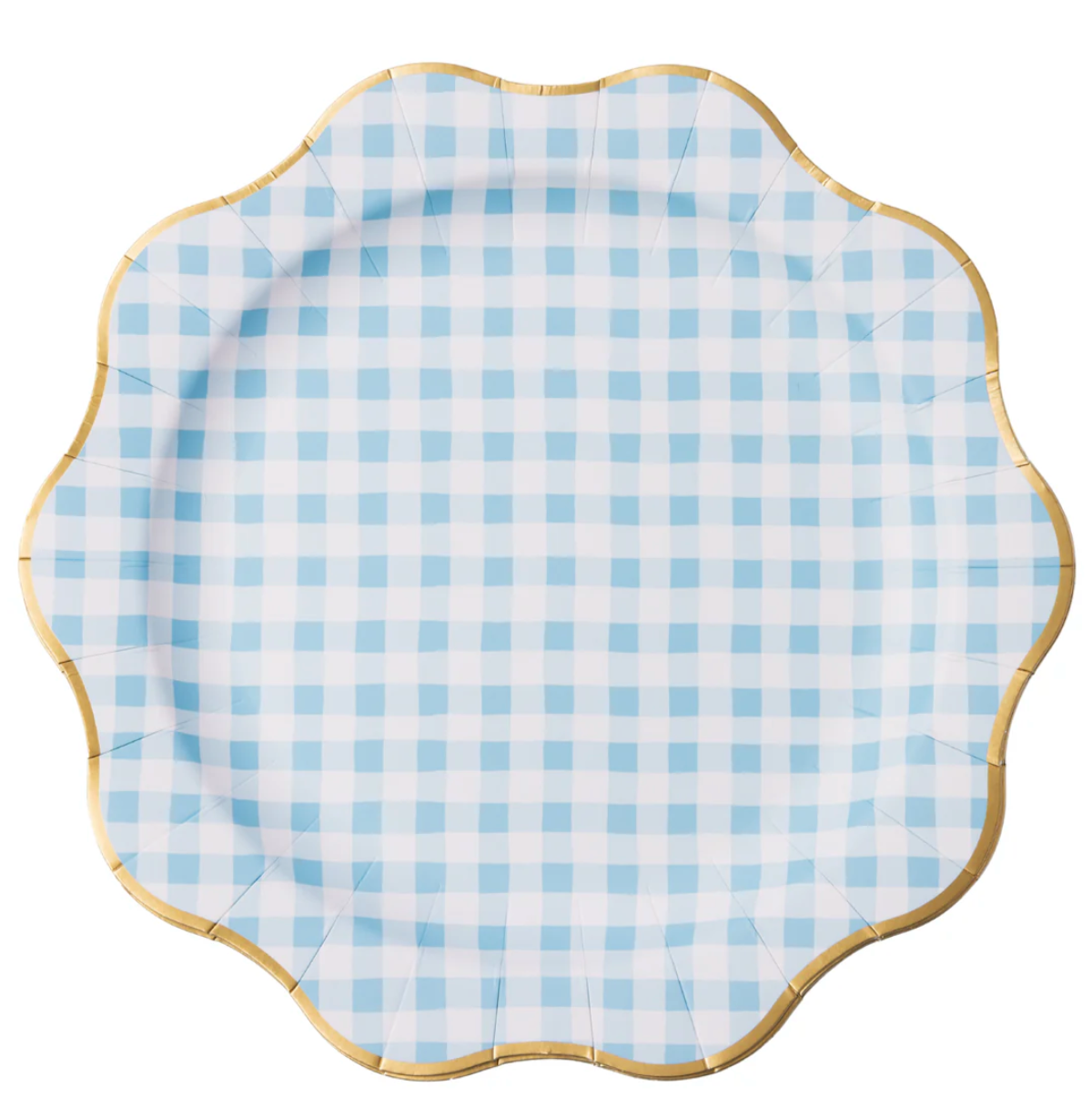ELEGANT SKY BLUE GINGHAM DINNER PLATES